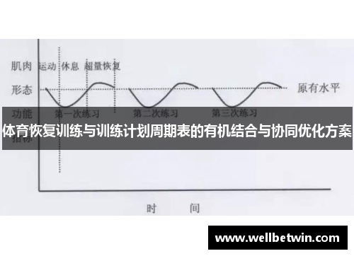 体育恢复训练与训练计划周期表的有机结合与协同优化方案