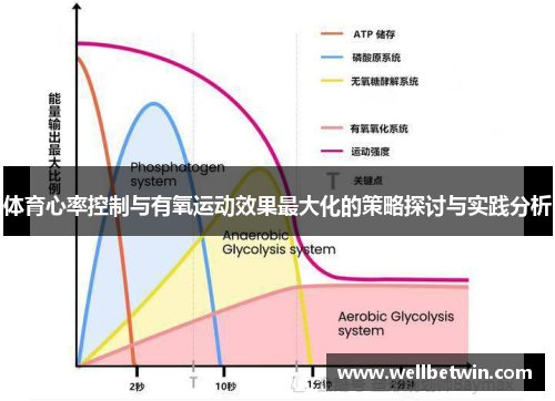 体育心率控制与有氧运动效果最大化的策略探讨与实践分析